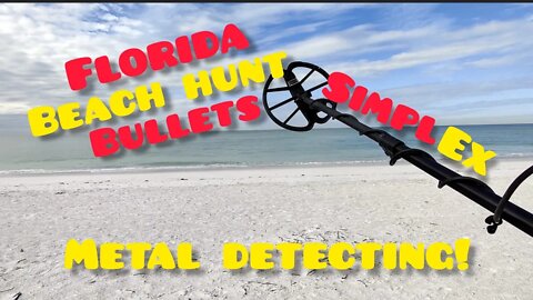 Beach Hunt | Bullets | Silver & Gold | Metal Detecting | Treasure | Simplex | Hardcore | Pro | Ring