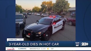 3-year-old dies in Visalia after being left in a car in triple-digit heat