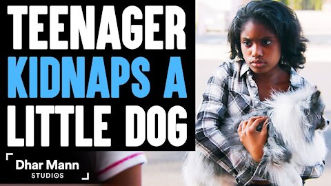 Teenager KIDNAPS A LITTLE DOG, What Happens Next Is Shocking _ Dhar Mann
