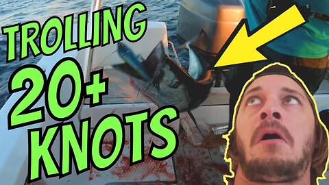 Trolling 20+ Knots Catching MONSTER Fish! High Speed Catch N Cook