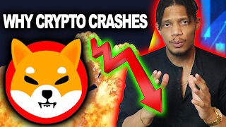 Why Shiba Inu CRASHED! The Bear And Bull Market Of Crypto