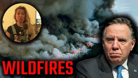 Wildfires are destroying Quebec's boreal forest, but what is the cause?