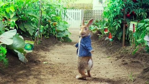 Peter Rabbit FuLL'M.o.V.i.E''2018''English'HD'free