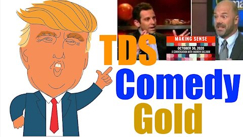 Trump's Energy= Mental Psychosis; TDS Comedy Gold with Sam Harris + Andrew Sullivan