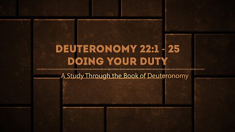 Book of Deuteronomy 22:1 - 25