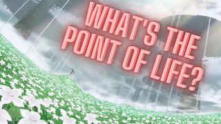 What is the Point of Life?