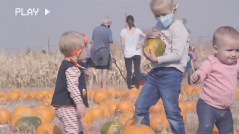 Discover Colorado’s Cottonwood Farms, aka ‘pumpkin patch’ to generations of kids