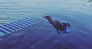 Criança faz impressionante salto falhado para a água
