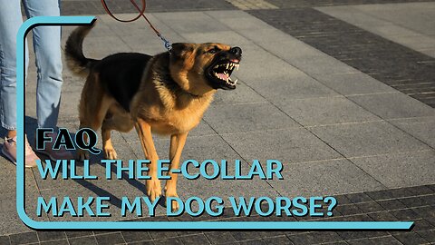 FAQ: Will E-Collar Make My Dog's Behavior Worse Or More Aggressive?