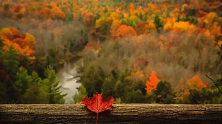 Beautiful Fall Photos