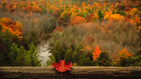 Beautiful Fall Photos