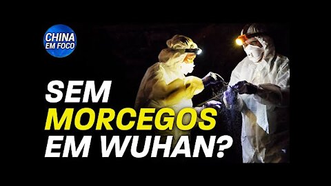 Morcegos não foram vendidos em Wuhan em 2019: Estudo; Lockdown: chineses imploram por comida