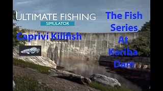Ultimate Fishing Simulator: The Fish - Kariba Dam - Caprivi Killfish - [00066]