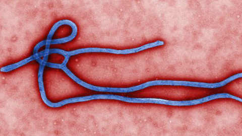 10 Things You Should Know about Ebola