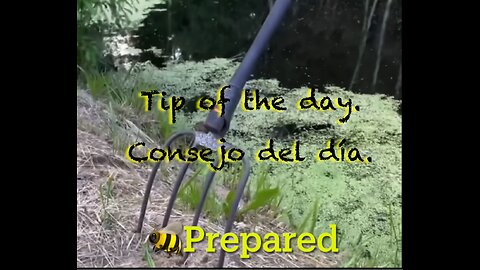 #10 Tip of the day.