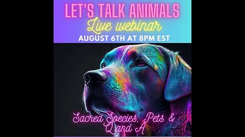 Let's Talk About Animals Webinar from August 2023 with Sherri Divband