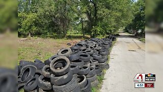 Taxpayers foot bill to clean up illegal tire dumping