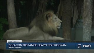 Zoo-Con distance learning program collaboration