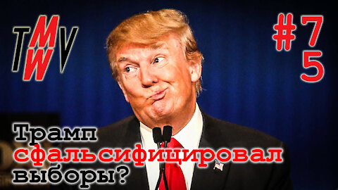 Трамп сфальсифицировал выборы?