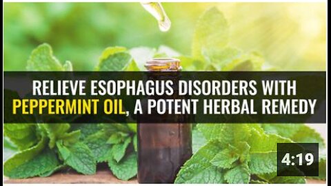 Relieve esophagus disorders with peppermint oil, a potent herbal remedy
