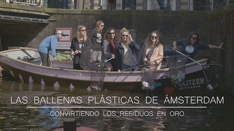 Las ballenas plásticas de Ámsterdam