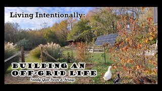 Building an Off-Grid Life