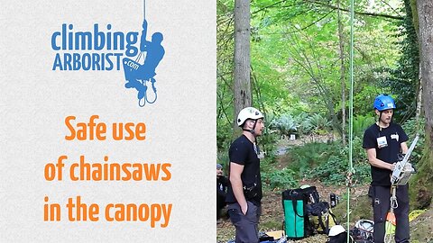 Safe use of chainsaws in the canopy