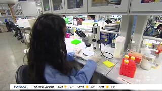 Tampa clinical research facility sheds light on clinical trials for coronavirus