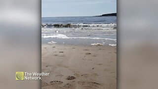 Beaches look ready for summer in New Brunswick