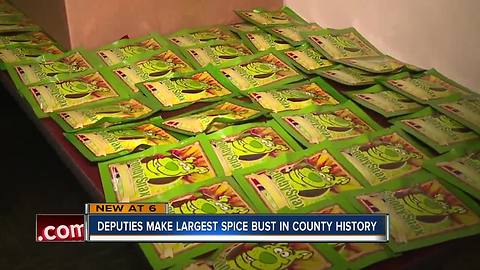 Deputies bust one of the largest spice rings in Hillsborough County history