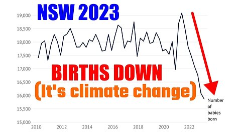 Births Plummet in New South Wales 2023