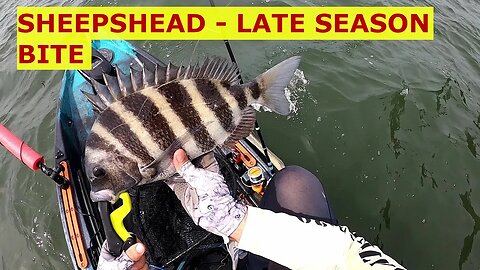 All Sheepshead Catches - Sometimes IT'S the Last hour or the Last Fish! DON'T GIVE UP!!