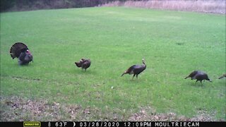 Wildlife time lapse to end your MONDAY GRIND!