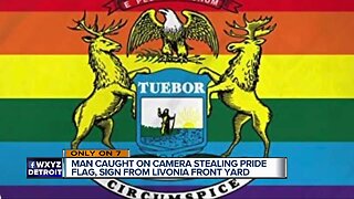 Man caught on camera stealing pride flag, sign from Livonia front yard