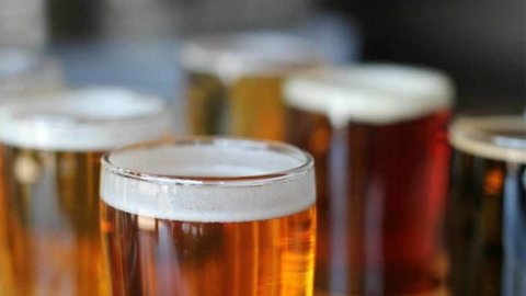 Martin County could become more welcoming to microbreweries and craft distilleries