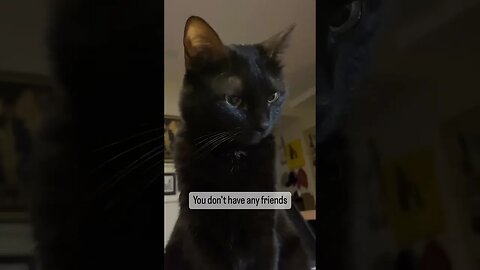 Cat speaks like Smeagol from Lord of the rings