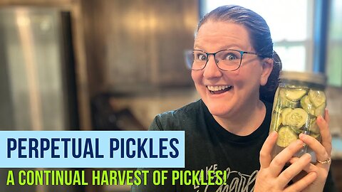 The Ultimate Pickle Hack: Perpetual Pickles!