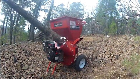 Harbor Freight Wood Chipper in Action