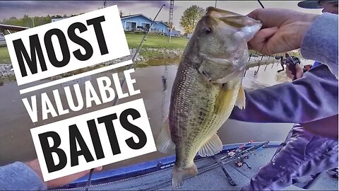 The MOST VALUABLE BAITS of the Year!
