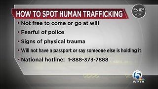 How to spot human trafficking