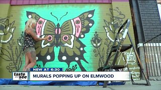 New festival to celebrate everything eco-friendly in Buffalo