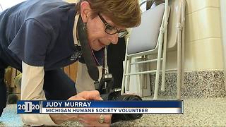 Person of the Week: Volunteer aims to help homeless animals in Detroit