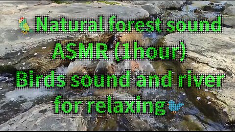 Natural forest sound/🏕ASMR (1hour) Birds sound and river for relaxing sounds🏞