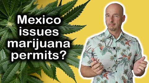 A Look at Mexico's Cannabis Laws