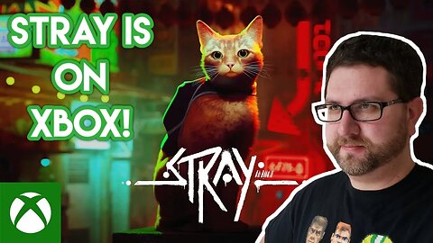Stray is on Xbox Series X!