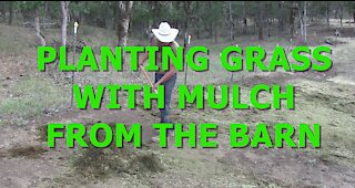 Using Mulch To Germinate Grass Seed