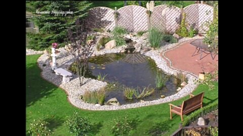 Backyard pond