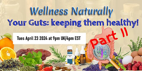 Wellness Naturally: Your Guts, part II