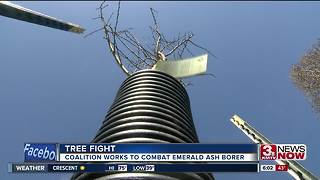 Coalition works to save ash trees in Omaha