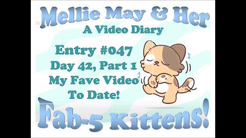 Video Diary Entry 047: Love This Day! My Favorite Video To Date - Day 42 Part 1